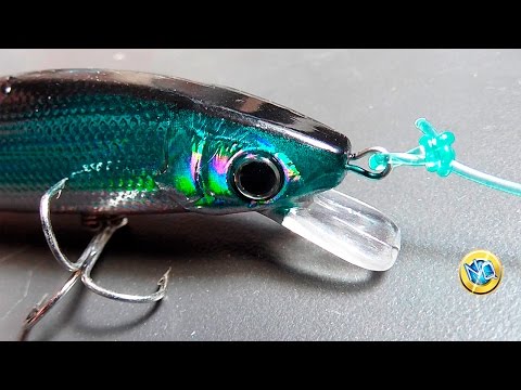 Cara Menyambung Simpul Rapala untuk Memasang Umpan di Garis Memancing dengan Loop Anti Selip