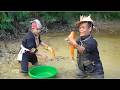 The dwarf family drains an abandoned pond to catch fish for breeding - A primitive way of survival