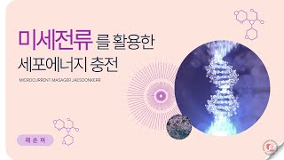 미세전류를 활용한 세포에너지 충전하기