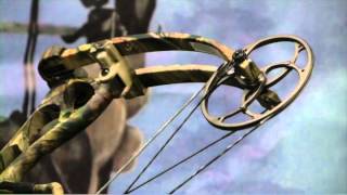 Bow Test 2012: Bear Anarchy