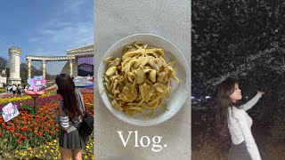 VLOG | 일상 브이로그 | 일주일동안 집밥 해먹기 ‍ 바질페스토파스타. 오픈샌드위치. 김치볶음밥. 비스킷 만들기 | 성북천 벚꽃 | 에버랜드 판다월드 | 쓰탐 베베백