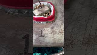 35 Troy Ounces Pure Silver Day 7 Growth