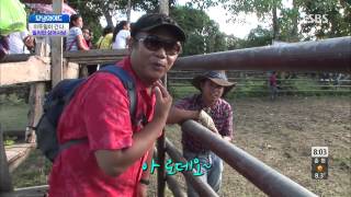 모닝와이드 131003 #8(5)