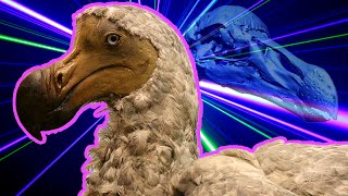 Scientists Recreate Dodo Bird with Lasers