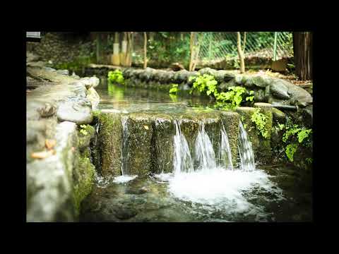 Tango (32BPM) - Japanese Gardens  with Tango music