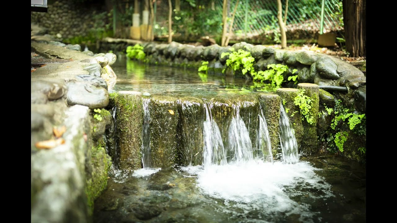 Tango (32BPM) - Japanese Gardens  with Tango music