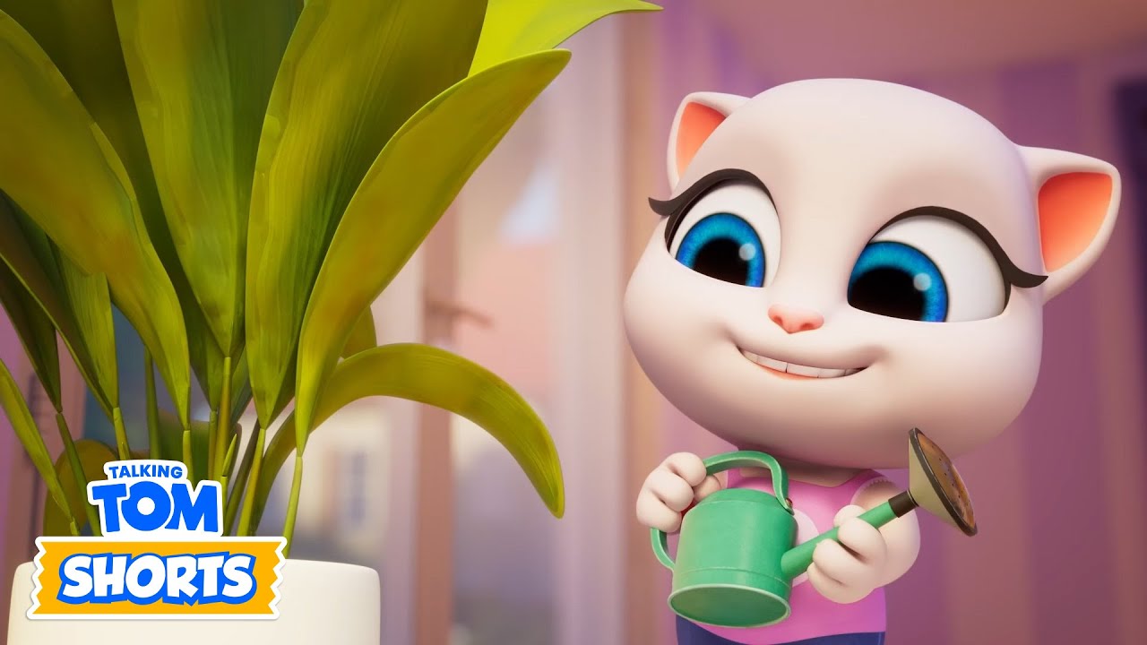 جرعة نمو الحديقة | Talking Tom | توم المتكلم | حلقات كاملة