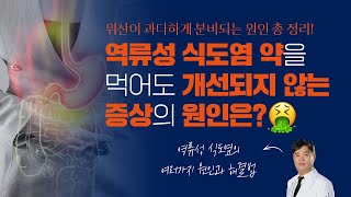 과다한 위산 분비, 속쓰림! 역류성 식도염 약을 먹어도 개선되지 않는 증상의 원인은?