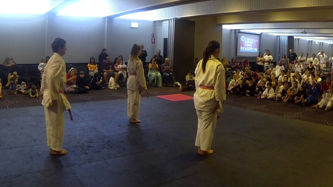 Karate Kata Team from HMA at Pink Belt Dojo March 2014