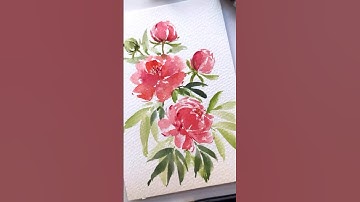 🌺 PEONIES painting watercolor flowers 🌺 easy drawing beautiful pink floral art #shorts #shortsfeed