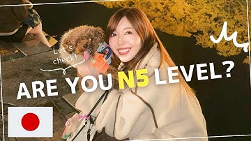 25. If you understand this, you are JLPT N5 level!