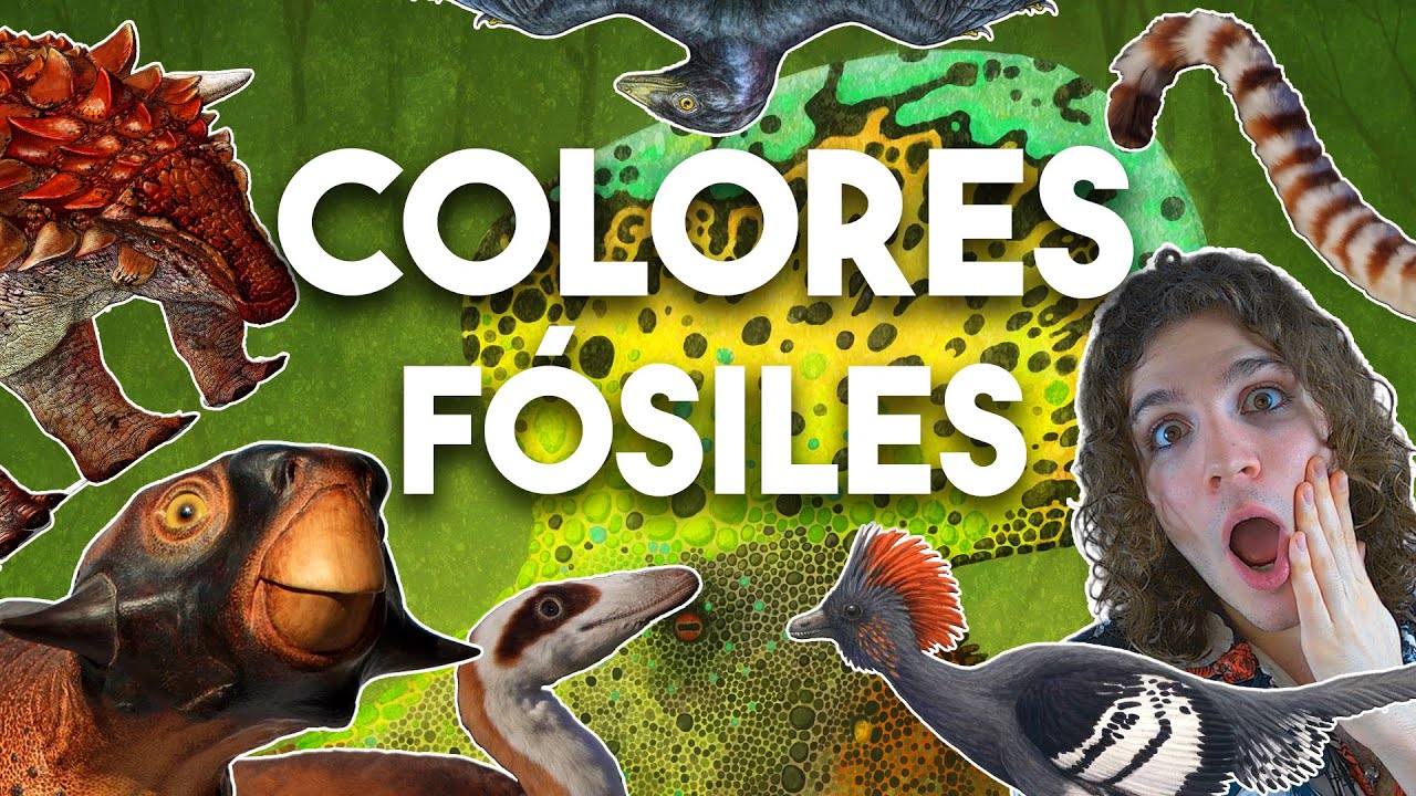 ¡Todos los COLORES descubiertos en DINOSAURIOS!