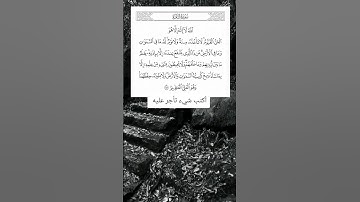 الله لا إله إلا هو الحي القيوم 🤍أية الكرسي حالات واتس اب قرآن كريم #أية الكرسي 🖤