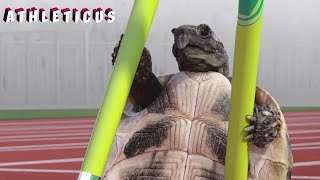 THE SMARTEST WON 🐢 ATHLETICUS |  Cartoon in English