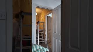 Week 5 of Operation House DIY and this week was a big one! We boarded up the loft, moved all our