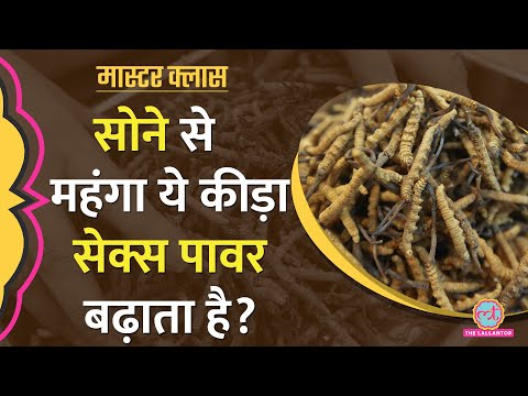 वीडियो: क्या ग्रब एक कीड़ा है?