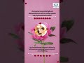 Enjoy Amazing Couples Massage In Virginia Beach 
