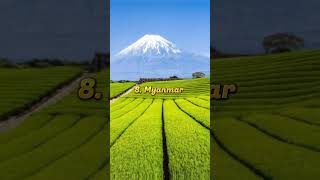 Top 10 countries with most tea production || making shorts 66 of 100 #shorts #trending #tealover