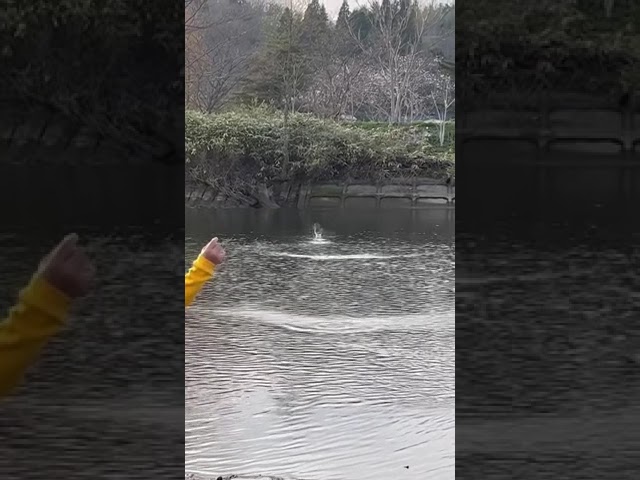 水切り