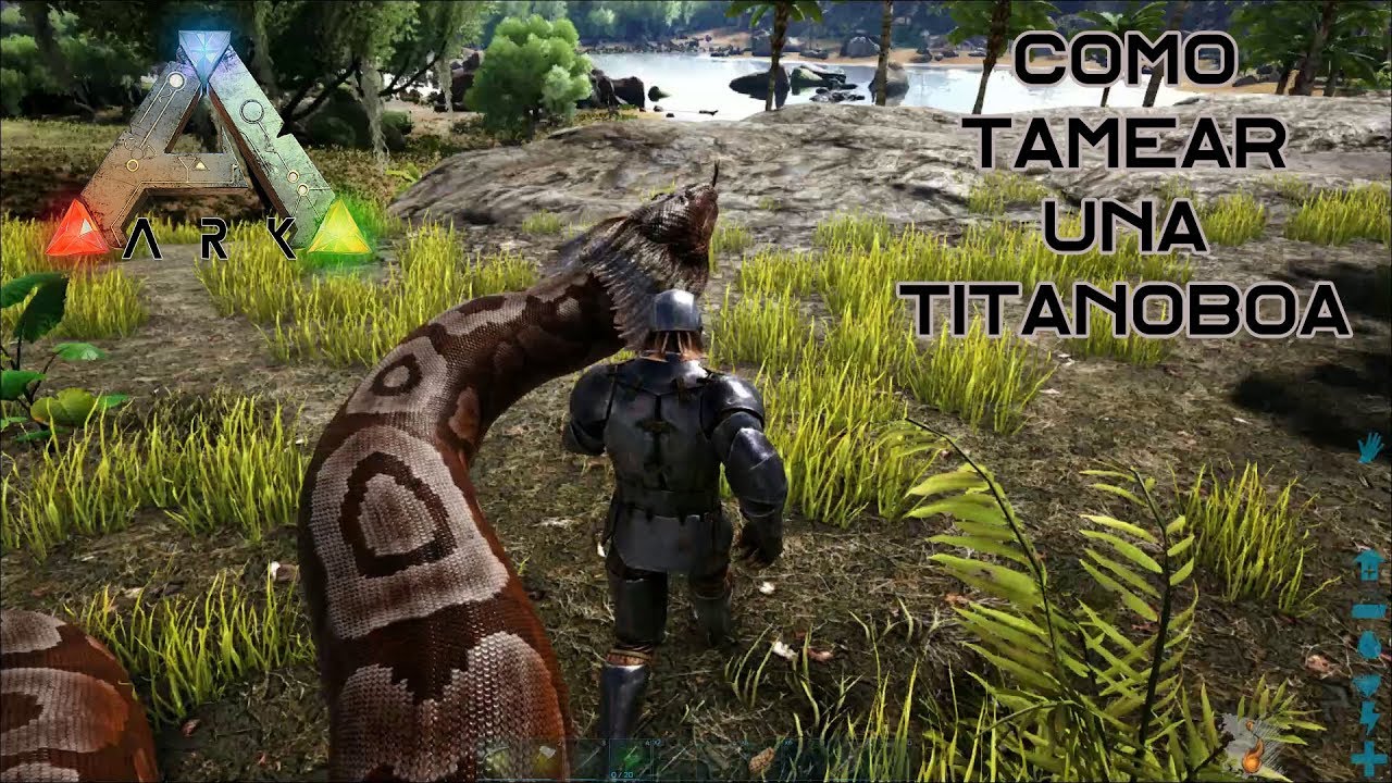 Como Domesticar Un Dodo En Ark