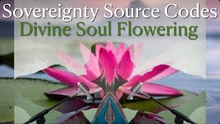 Sovereign Soul Light Codes: Divine Flowering / The Bloom