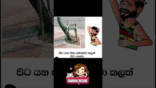 Plz Subscribe කරන්න 🙏❤️Sinhala Funny Meme #𒆜foryou  #funny