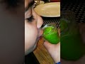 Frozen Mint And Lemonade Frozen Mint And Lemonade