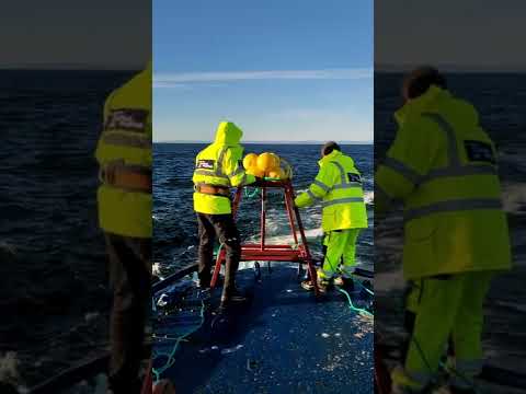 Video: Tšuktši meri – endine Beringia
