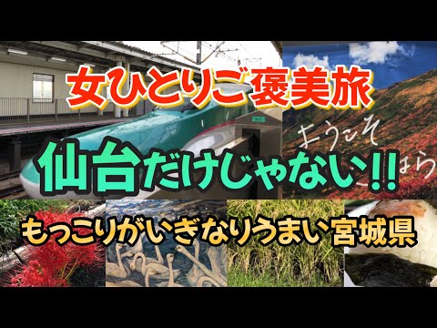 【女ひとりご褒美旅】宮城のうまいは、ここにもある　ただいまと言ってもいいですか？また来ました宮城県