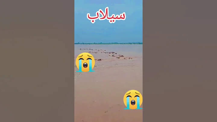 Flood in Pakistan 2025 | Ravi river flood #floodinpakistan #flood