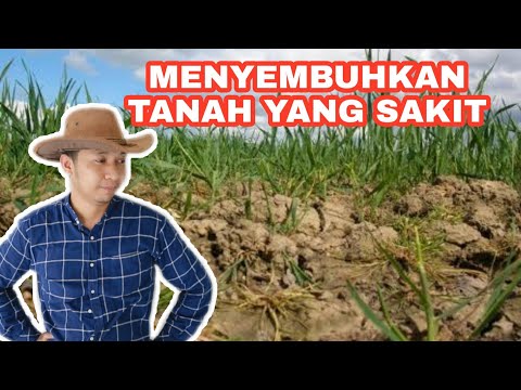 Video: Apakah boleh rototill kotoran basah?