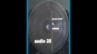 Strobe - Human Animal