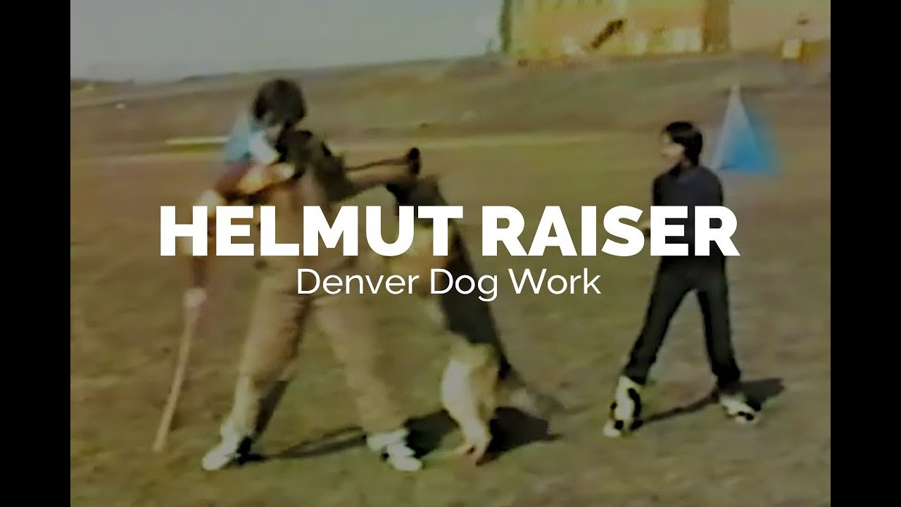 Helmut Raiser Denver Dog Work