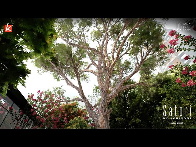 Still from the official video of Satori by Kohinoor