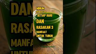 Download Lagu Minum Rebusan Daun Kelor Setiap Hari Dan Rasakan 3 Manfaat Untuk Tubuh. #hidupindah MP3