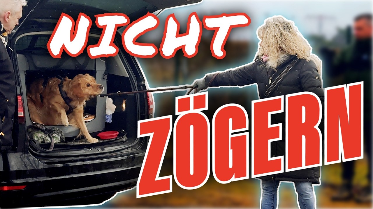 DARUM DARF ES HIER KEINE OPTIONEN GEBEN