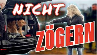 DARUM DARF ES HIER KEINE OPTIONEN GEBEN