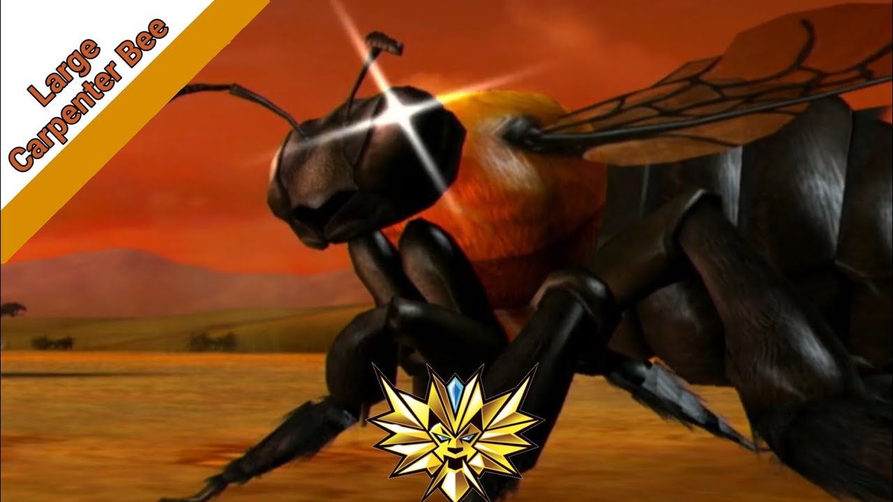 maxresdefault.jpg