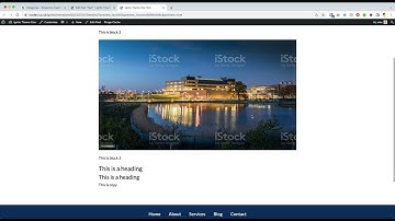 WordPress Training - 3: Content Editor