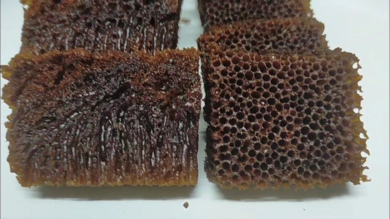 KEK SARANG SEMUT GULA HANGUS petua anti gagal tanpa oven dan tanpa kukus