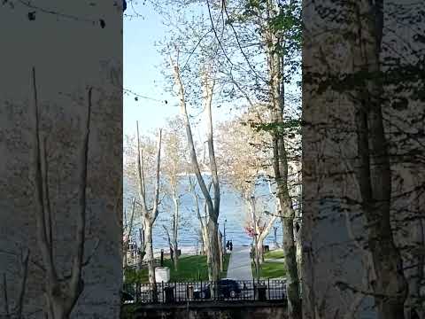 Eşref Rüya Eşrefrüya Timsb Kanald çağatayulusoy Demetözdemir Youtubeshorts