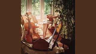 Harmony in Peaceful Flow