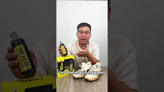TB235 Athletic Shoe Cleaning Kit | All-in-One Deep Care Solution