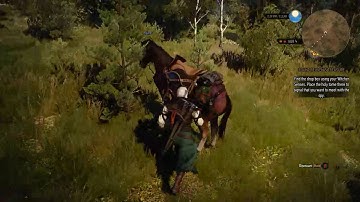 The Witcher 3 - Deathmarch Playthrough (Part 1)