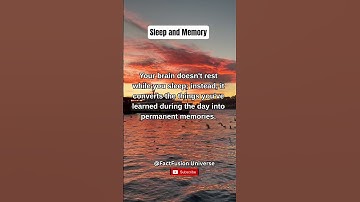 Memory Consolidation: The Science Behind Your Brain’s Night Shift... #shorts #youtubeshorts #sleep