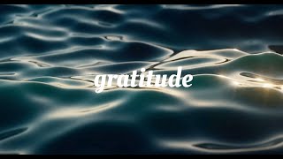 Will Lee - Gratitude (Lyric video now streaming)