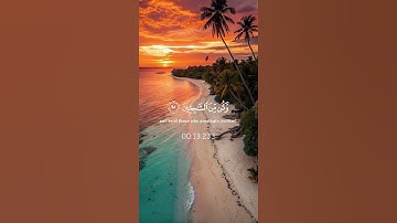 احترم القرآن 20 ثانيةً #قرآن تلاوة تريح النفس