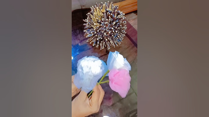 പ്ലാസ്റ്റിക് കവർ കൊണ്ട് മനോഹരമായ പൂക്കൾ