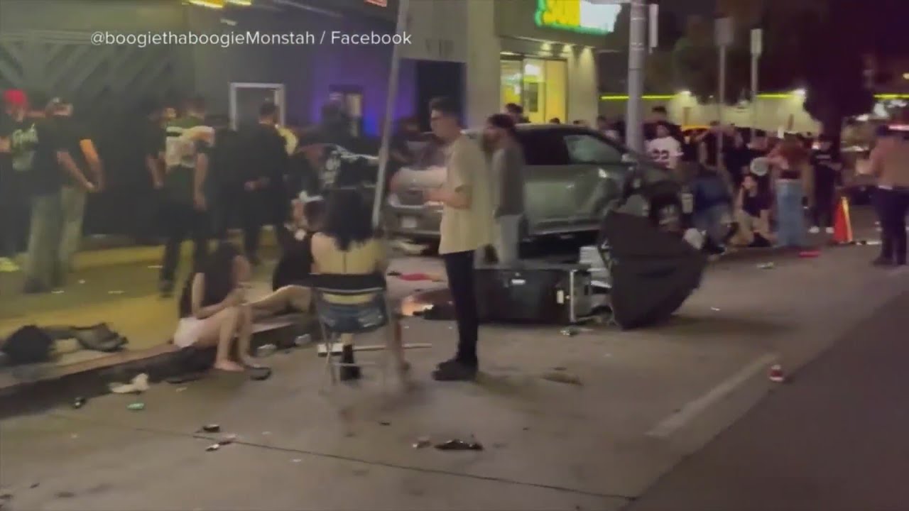 Man who drove car into crowd in Los Angeles gets shot and arrested