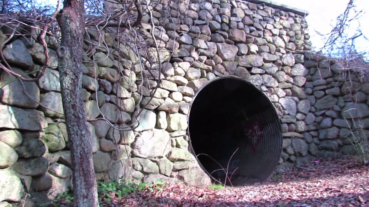 Hidden cow tunnel on Cape Cod YouTube